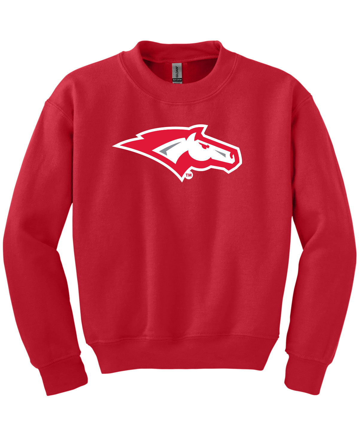 School Pride Youth Crewneck Sweatshirt