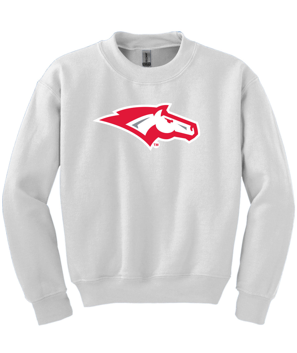 School Pride Youth Crewneck Sweatshirt