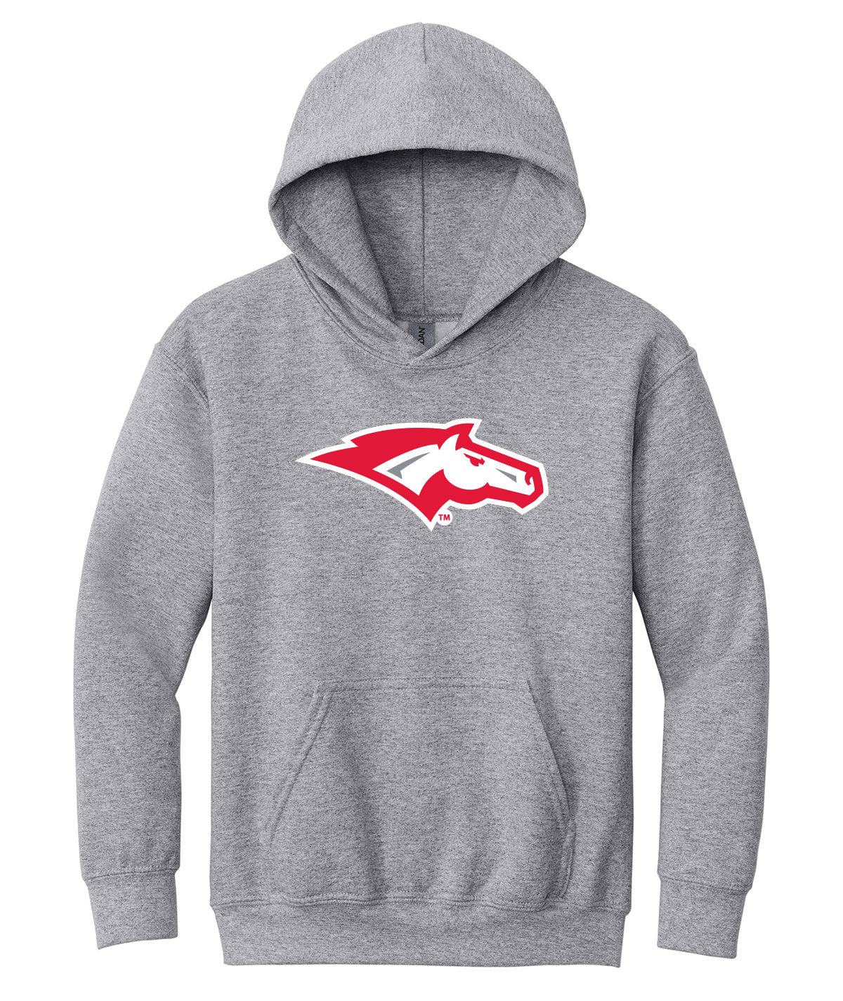 School Pride Youth Hooded Sweatshirt
