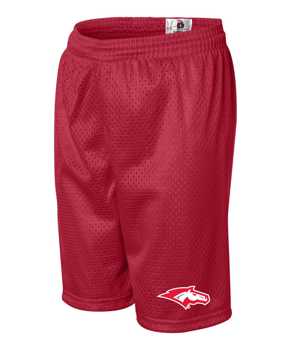 School Pride Youth Mesh Shorts