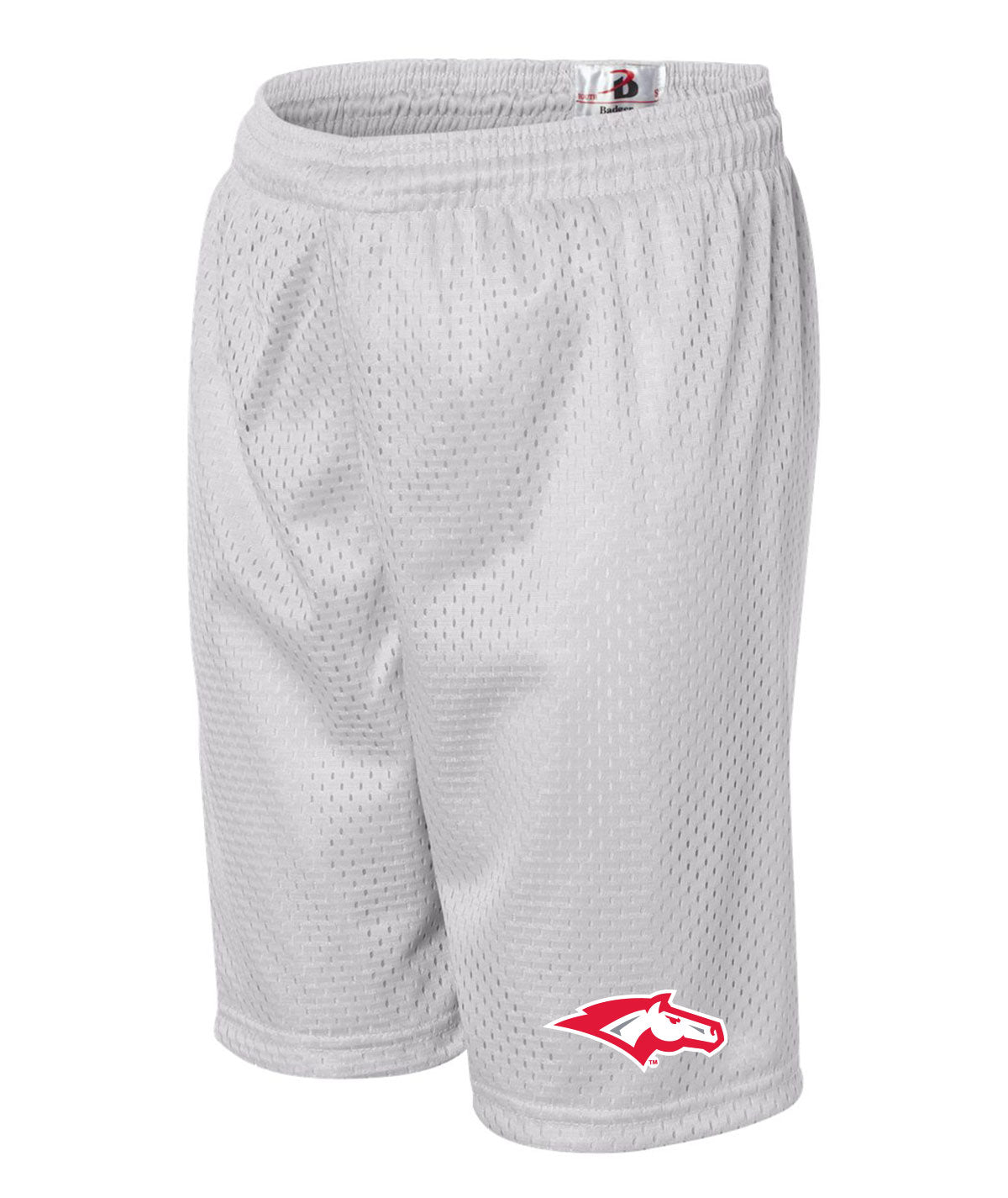 School Pride Youth Mesh Shorts