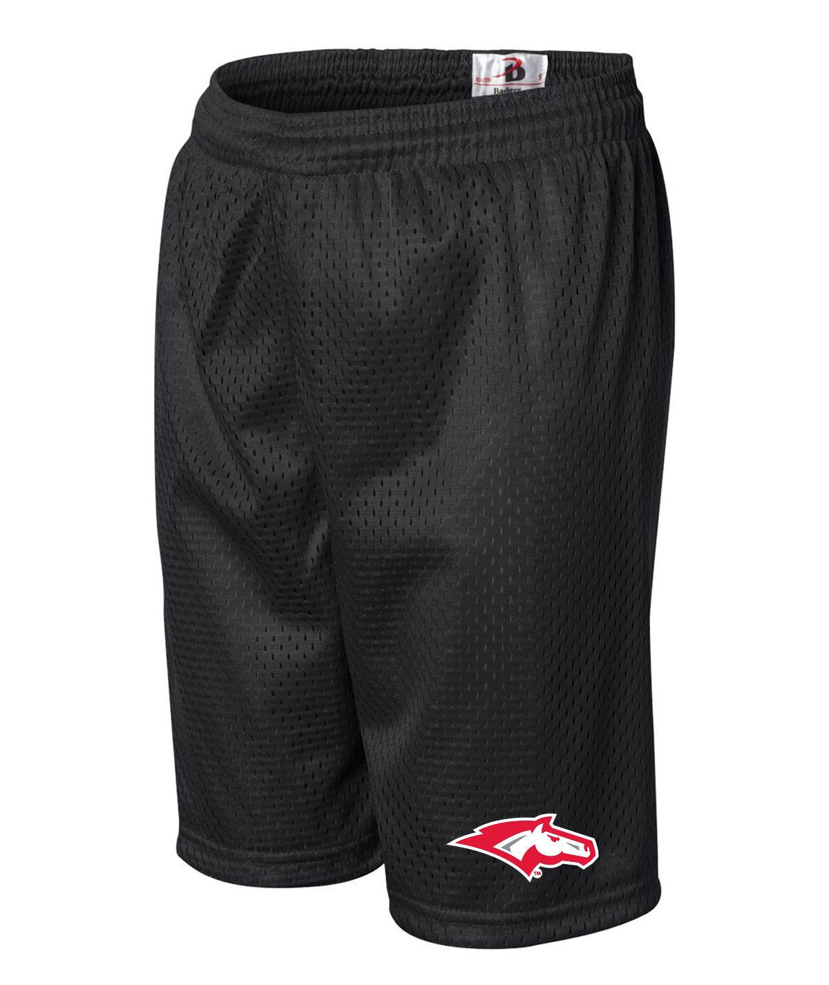 School Pride Youth Mesh Shorts