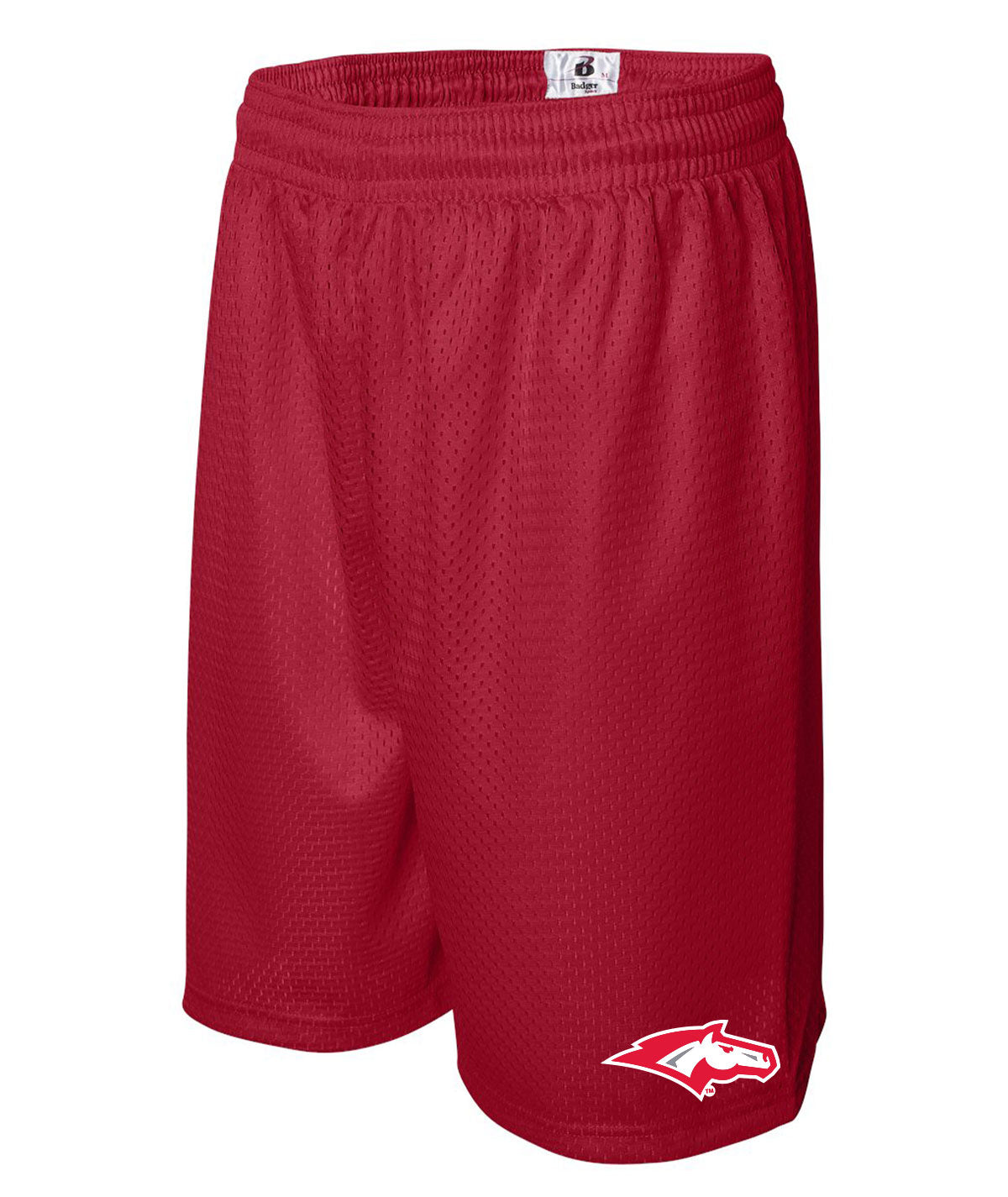 School Pride Mens Mesh Shorts