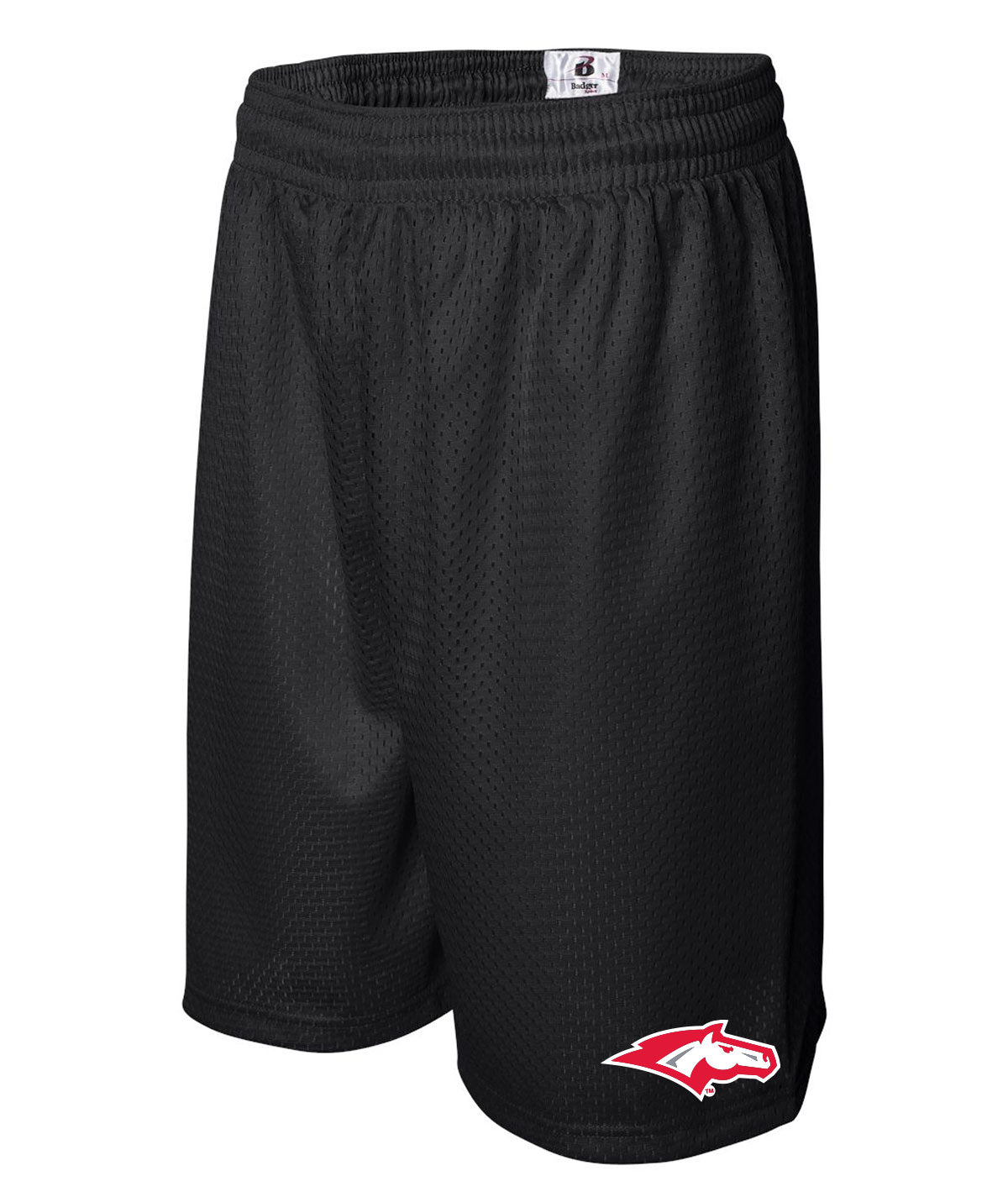 School Pride Mens Mesh Shorts