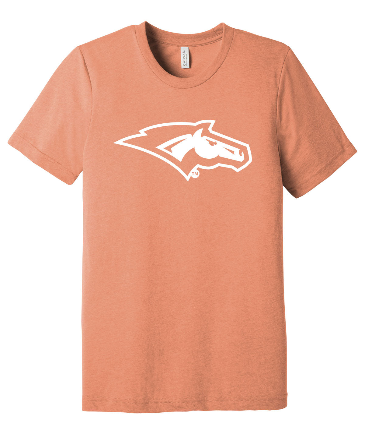 DCG Colorful Customizable Softstyle Unisex Tee