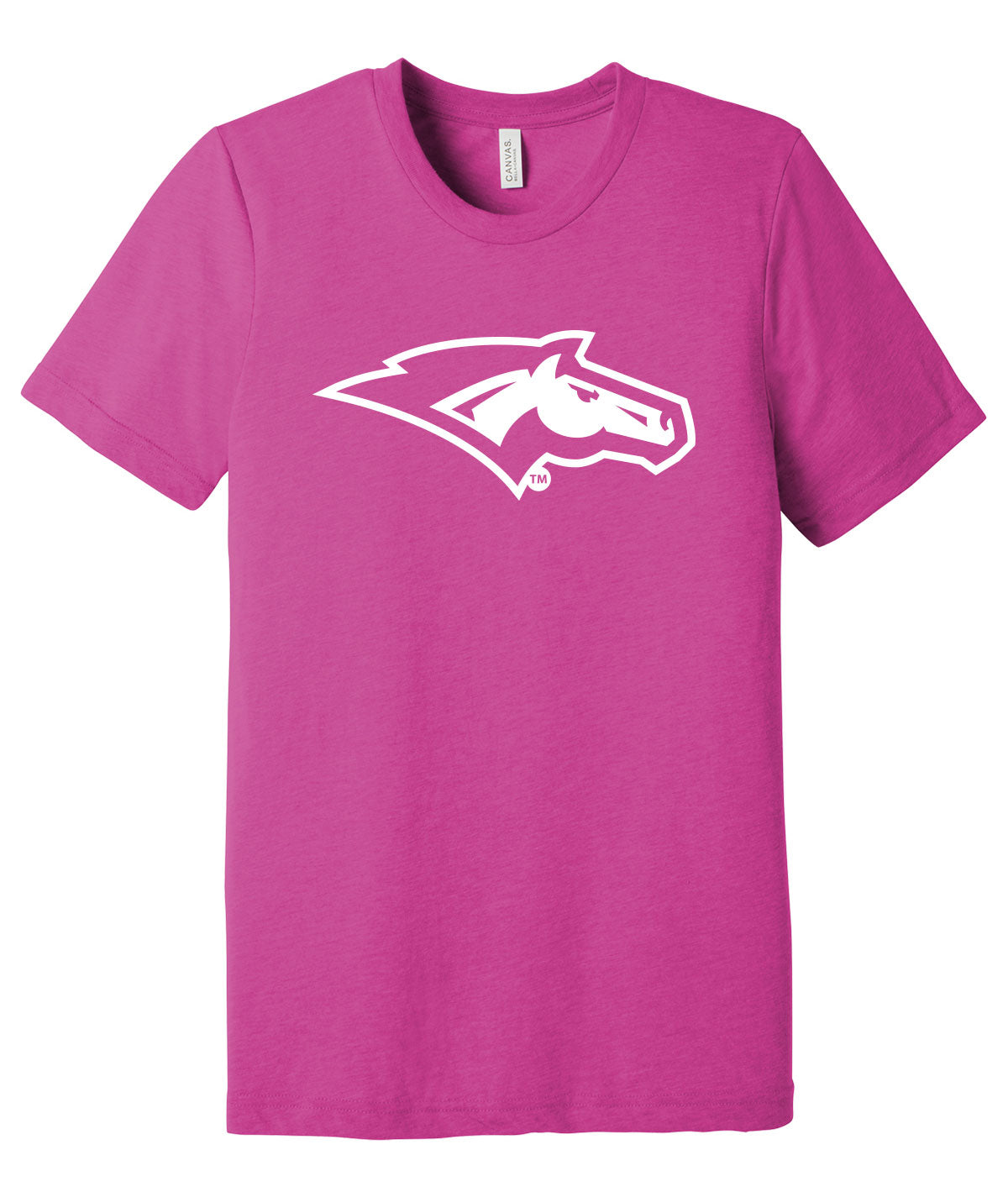 DCG Colorful Customizable Softstyle Unisex Tee