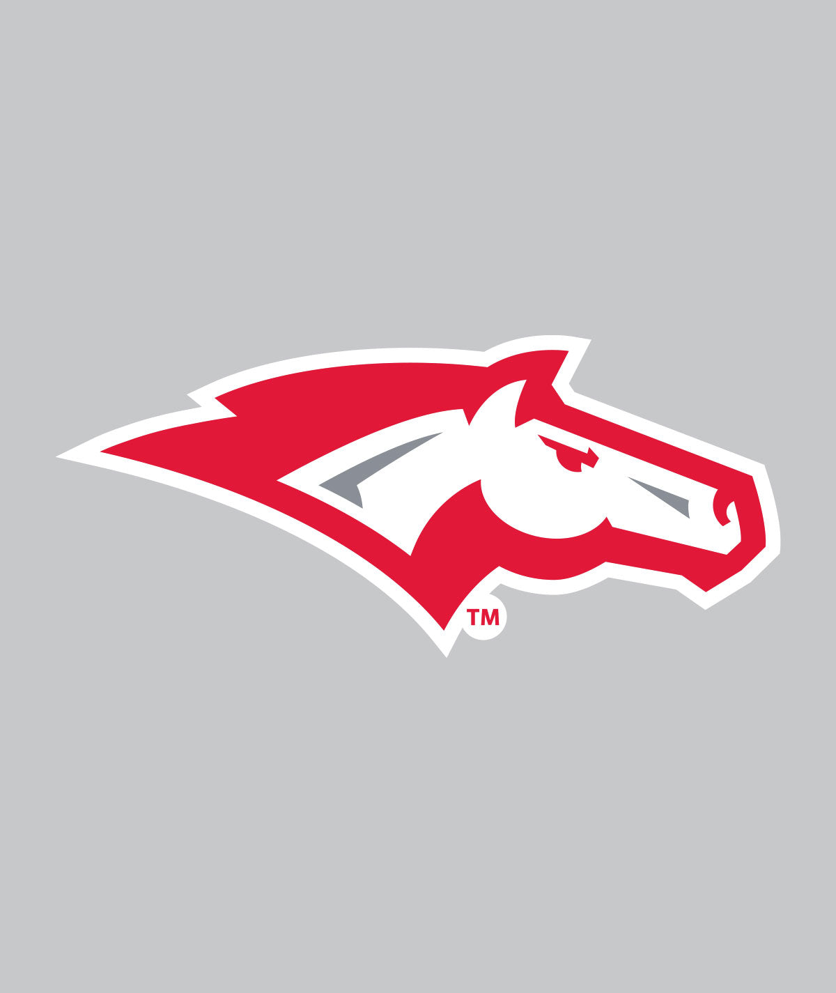 Mustangs Big Sticker