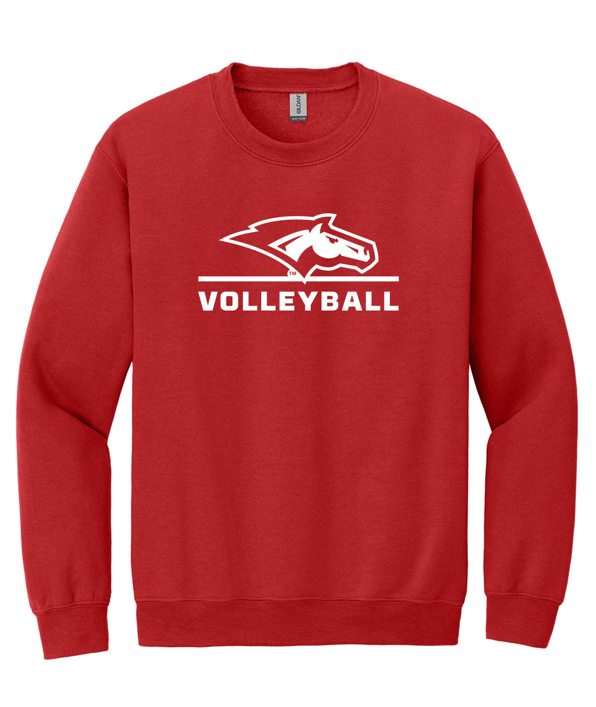 DCG Mustangs Volleyball Softstyle Hoodie