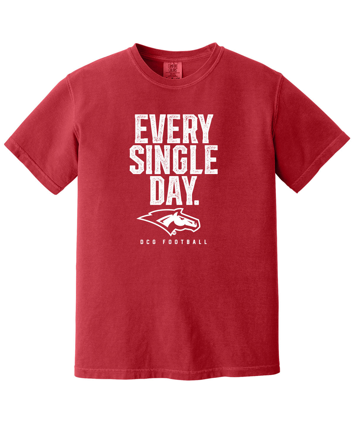 Every Single Day Comfort Colors Tee