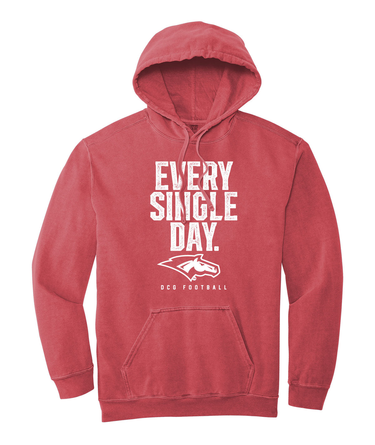 Every Single Day Comfort Colors Hoodie